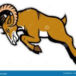 Download Ram Clipart PNG Image with No Background - PNGkey.com